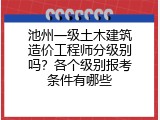 池州一级土木建筑造价工程师分级别吗？各个级别报考条件有哪些