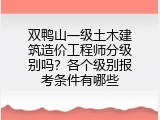 双鸭山一级土木建筑造价工程师分级别吗？各个级别报考条件有哪些
