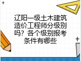 辽阳一级土木建筑造价工程师分级别吗？各个级别报考条件有哪些