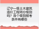 辽宁一级土木建筑造价工程师分级别吗？各个级别报考条件有哪些