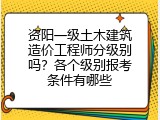 资阳一级土木建筑造价工程师分级别吗？各个级别报考条件有哪些