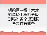铜梁区一级土木建筑造价工程师分级别吗？各个级别报考条件有哪些