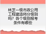 林芝一级市政公用工程建造师分级别吗？各个级别报考条件有哪些