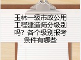 玉林一级市政公用工程建造师分级别吗？各个级别报考条件有哪些