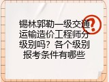 锡林郭勒一级交通运输造价工程师分级别吗？各个级别报考条件有哪些