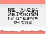 阿里一级交通运输造价工程师分级别吗？各个级别报考条件有哪些