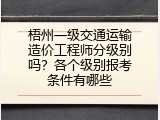 梧州一级交通运输造价工程师分级别吗？各个级别报考条件有哪些