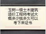 玉树一级土木建筑造价工程师考试大概多少钱多久可以考下来证书