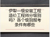 伊犁一级安装工程造价工程师分级别吗？各个级别报考条件有哪些