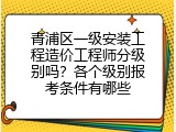 青浦区一级安装工程造价工程师分级别吗？各个级别报考条件有哪些