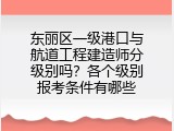 东丽区一级港口与航道工程建造师分级别吗？各个级别报考条件有哪些