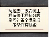 阿拉善一级安装工程造价工程师分级别吗？各个级别报考条件有哪些