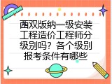 西双版纳一级安装工程造价工程师分级别吗？各个级别报考条件有哪些