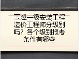 玉溪一级安装工程造价工程师分级别吗？各个级别报考条件有哪些