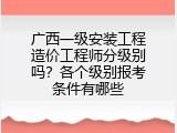 广西一级安装工程造价工程师分级别吗？各个级别报考条件有哪些