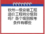 钦州一级安装工程造价工程师分级别吗？各个级别报考条件有哪些