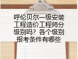 呼伦贝尔一级安装工程造价工程师分级别吗？各个级别报考条件有哪些