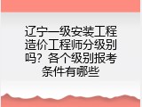 辽宁一级安装工程造价工程师分级别吗？各个级别报考条件有哪些