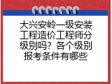 大兴安岭一级安装工程造价工程师分级别吗？各个级别报考条件有哪些
