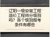 辽阳一级安装工程造价工程师分级别吗？各个级别报考条件有哪些