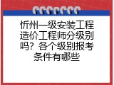 忻州一级安装工程造价工程师分级别吗？各个级别报考条件有哪些