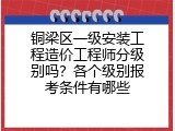 铜梁区一级安装工程造价工程师分级别吗？各个级别报考条件有哪些