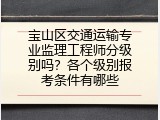 宝山区交通运输专业监理工程师分级别吗？各个级别报考条件有哪些