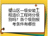 璧山区一级安装工程造价工程师分级别吗？各个级别报考条件有哪些
