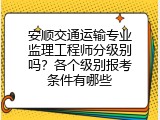 安顺交通运输专业监理工程师分级别吗？各个级别报考条件有哪些