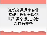 潍坊交通运输专业监理工程师分级别吗？各个级别报考条件有哪些