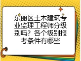 东丽区土木建筑专业监理工程师分级别吗？各个级别报考条件有哪些