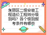 东丽区二级安装工程造价工程师分级别吗？各个级别报考条件有哪些