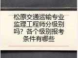 松原交通运输专业监理工程师分级别吗？各个级别报考条件有哪些