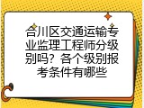 合川区交通运输专业监理工程师分级别吗？各个级别报考条件有哪些