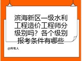 滨海新区一级水利工程造价工程师分级别吗？各个级别报考条件有哪些
