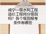 咸宁一级水利工程造价工程师分级别吗？各个级别报考条件有哪些
