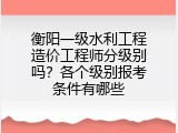 衡阳一级水利工程造价工程师分级别吗？各个级别报考条件有哪些