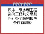 汉中一级水利工程造价工程师分级别吗？各个级别报考条件有哪些