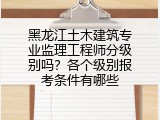 黑龙江土木建筑专业监理工程师分级别吗？各个级别报考条件有哪些