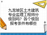 九龙坡区土木建筑专业监理工程师分级别吗？各个级别报考条件有哪些