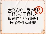 大兴安岭一级水利工程造价工程师分级别吗？各个级别报考条件有哪些