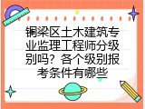 铜梁区土木建筑专业监理工程师分级别吗？各个级别报考条件有哪些