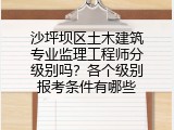 沙坪坝区土木建筑专业监理工程师分级别吗？各个级别报考条件有哪些