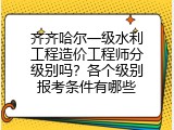 齐齐哈尔一级水利工程造价工程师分级别吗？各个级别报考条件有哪些