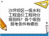 沙坪坝区一级水利工程造价工程师分级别吗？各个级别报考条件有哪些