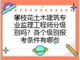 攀枝花土木建筑专业监理工程师分级别吗？各个级别报考条件有哪些