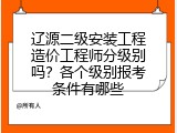 辽源二级安装工程造价工程师分级别吗？各个级别报考条件有哪些