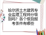 哈尔滨土木建筑专业监理工程师分级别吗？各个级别报考条件有哪些