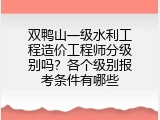 双鸭山一级水利工程造价工程师分级别吗？各个级别报考条件有哪些