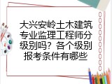 大兴安岭土木建筑专业监理工程师分级别吗？各个级别报考条件有哪些